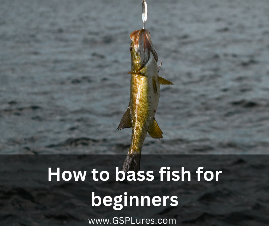 how-to-bass-fish-for-beginners-gsp-lures